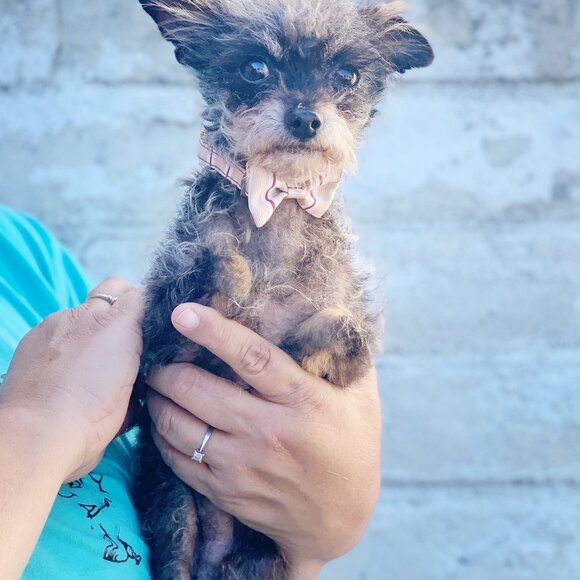 85% of textiles = 92 millions TONS a YEAR = LANDFILL. Let's Change That! - Picture 9 of 12